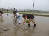 taue2