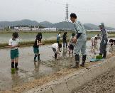 taue4