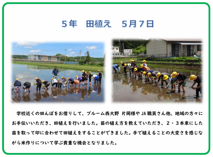 田植え