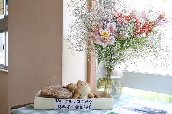 おばあちゃん１